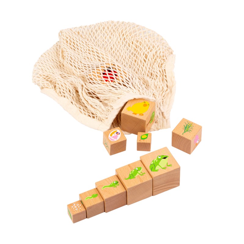 Life Cycle Blocks