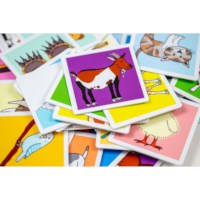 Animal memo