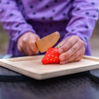 Fruit Set Wood 