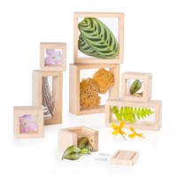 Treasure Blocks - Clear