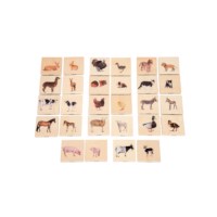 Domestic Animal Family Match