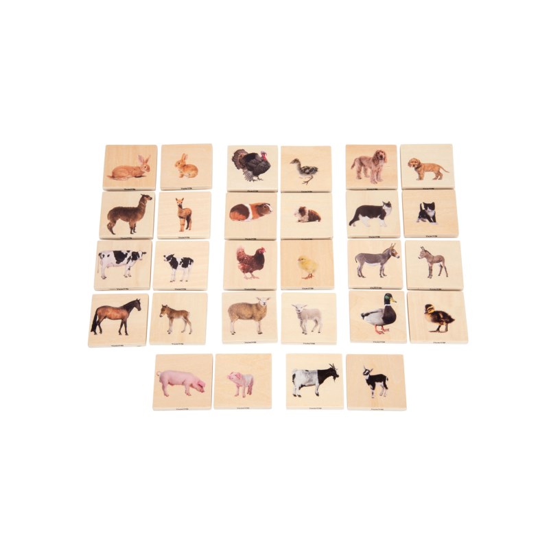 Domestic Animal Family Match
