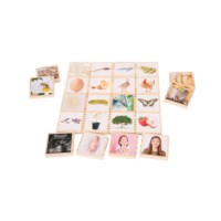 Wooden Lifecycle Tiles
