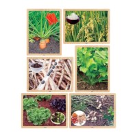 Foods From The Earth Puzzle