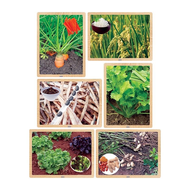 Foods From The Earth Puzzle
