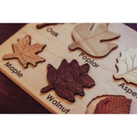 Double Sided Leaf Puzzle