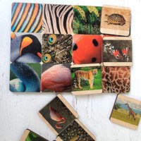 Animal Skin Matching