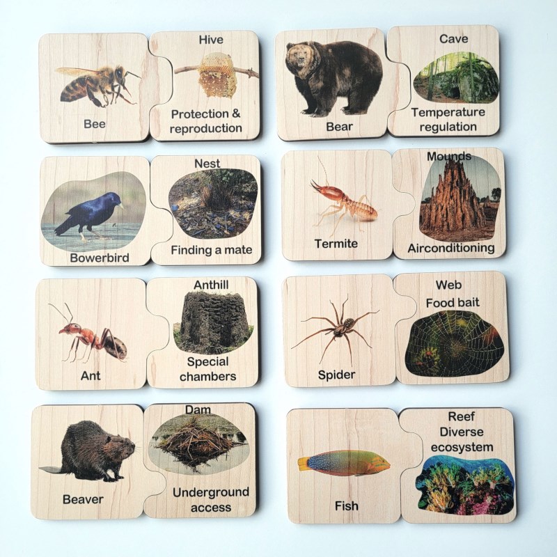 Animal Homes Puzzle