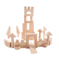 Unit Blocks Set - 50 pieces