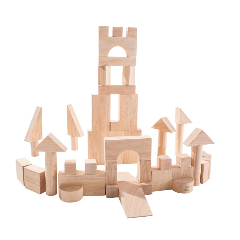 Unit Blocks Set - 50 pieces