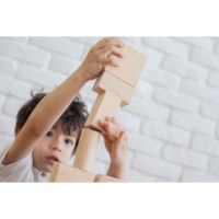 Unit Blocks Set - 50 pieces