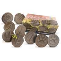 Let's Investigate - Farmyard Footprints