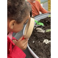 Dig and Discover - Ankylosaurus & Tyrannosaurus Rex