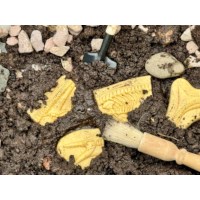 Dig and Discover - Pliosaur & Stegosaurus
