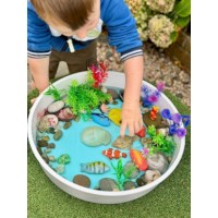 Sensory Play Stones - Fish