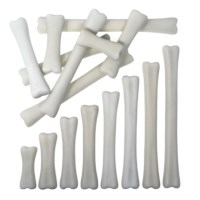 Dinosaur Match and Measure Bones