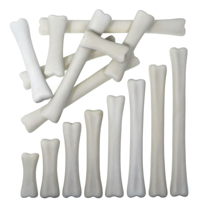 Dinosaur Match and Measure Bones