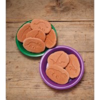Let's Investigate - Dinosaur Footprints