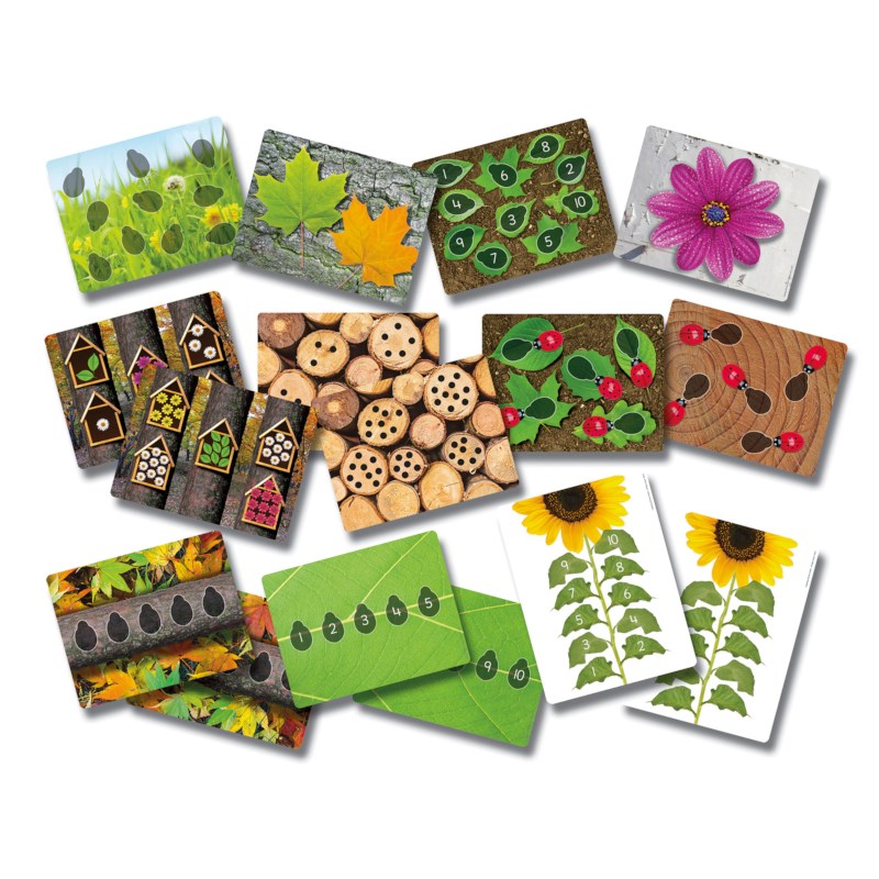 Lady Bug Counting Cards