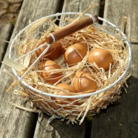 Play Eggs Set of 6