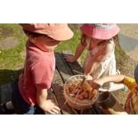 Play Eggs Set of 6