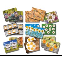 Honey Bee Early Number Cards