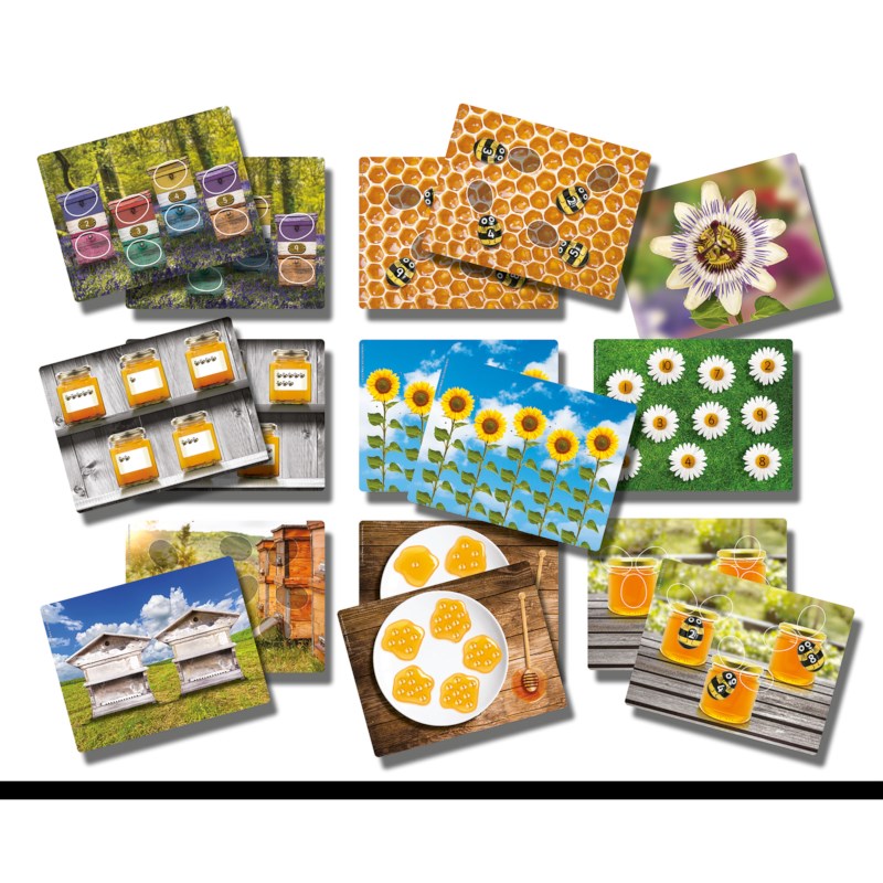 Honey Bee Early Number Cards