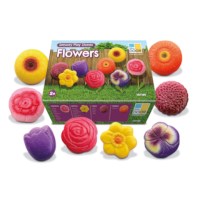 Flowers Sensory Play Stones