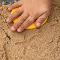 Let's Investigate - Seashore